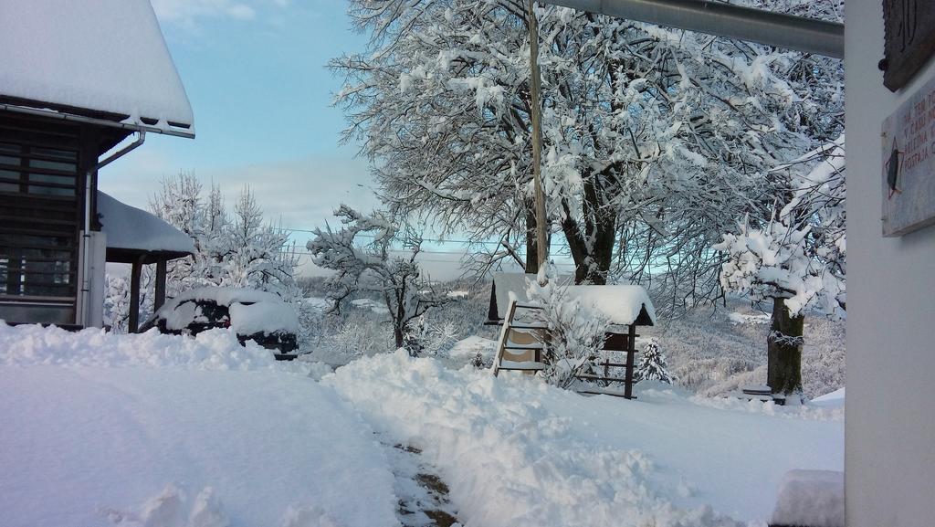 Tourist Farm Ljubica Villa Poljane nad Škofjo Loko Esterno foto