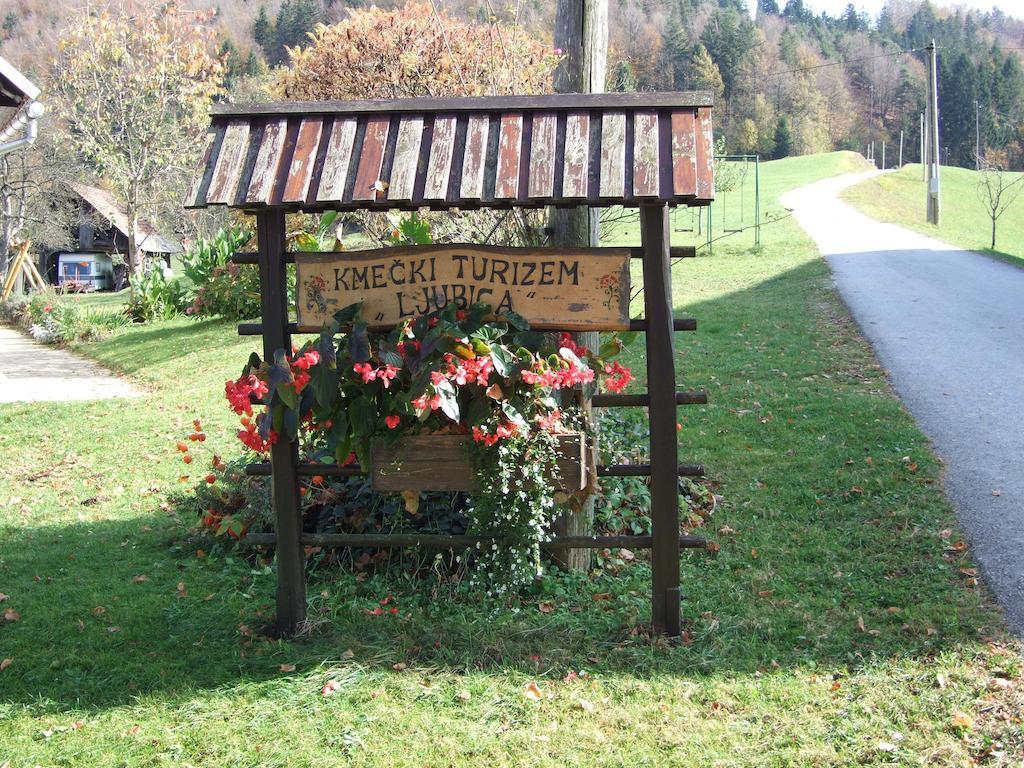 Tourist Farm Ljubica Villa Poljane nad Škofjo Loko Esterno foto